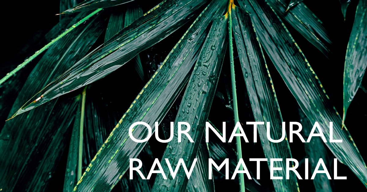 theGVA  -your sustainable Notebook gallery image