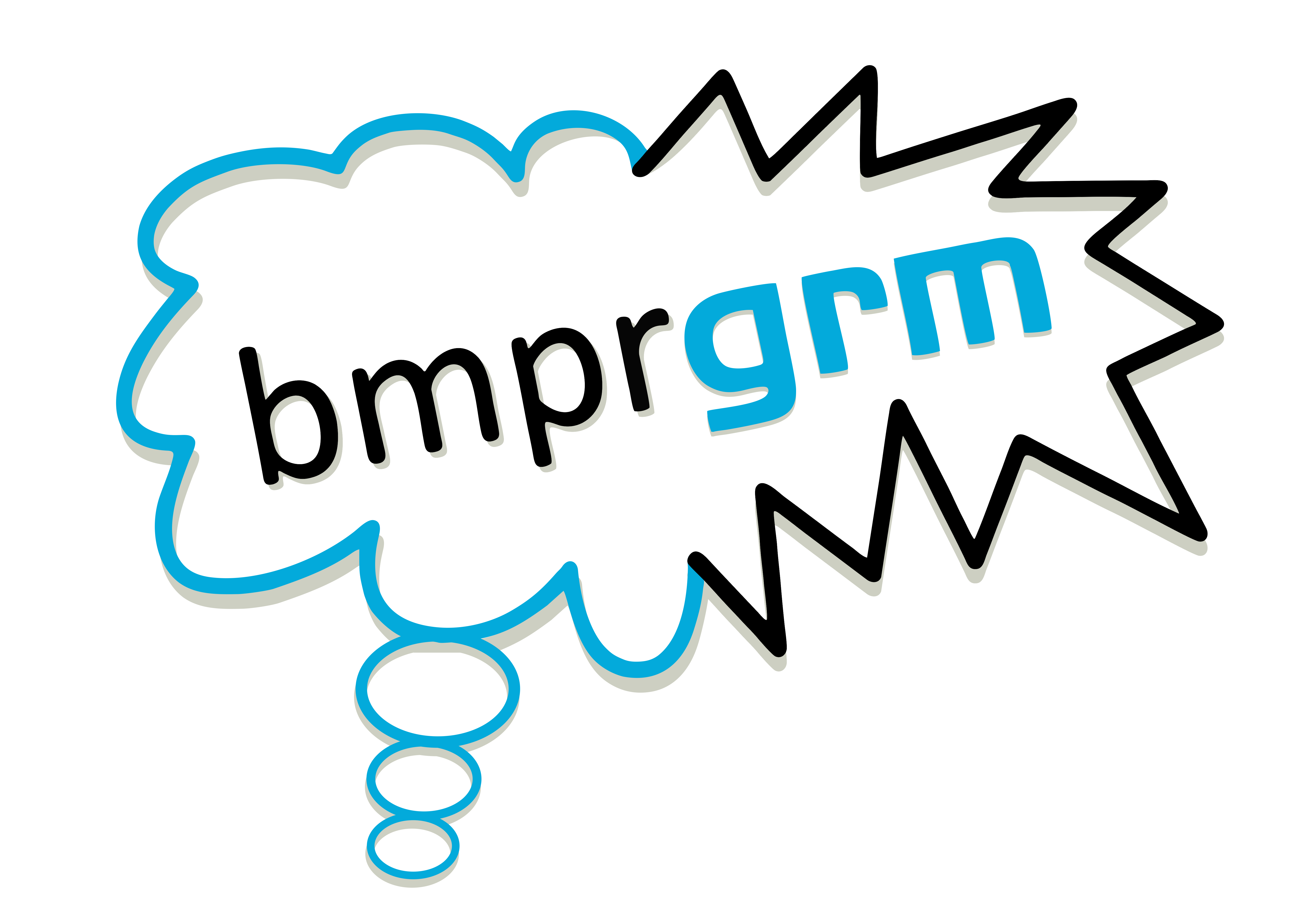 bmprgrm