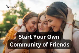 MySparkLite Mentorship Platform gallery image