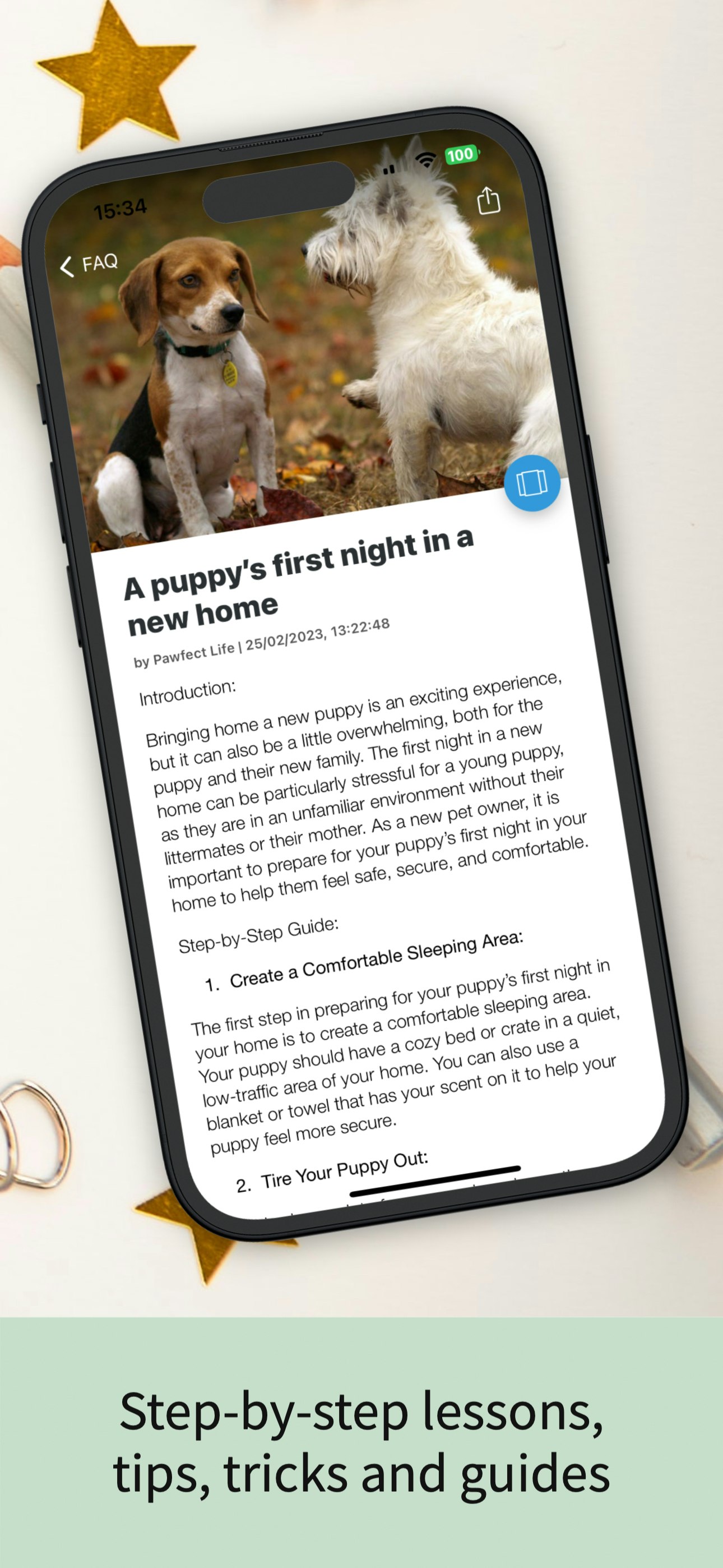Pawfect Life - Allenamento per cani da cucciolo media 3