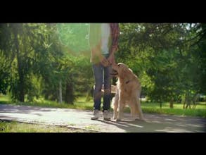 WewPet gallery image