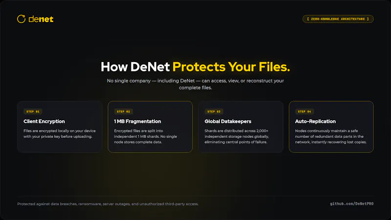 DeNet Storage Desktop screenshot 4