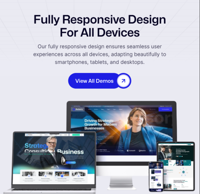 Axisory Business Consulting WP Theme gallery image