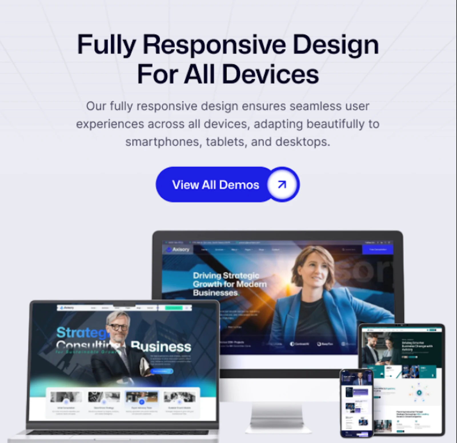 Axisory Business Consulting WP Theme screenshot 10
