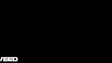 AP Scholr gallery image