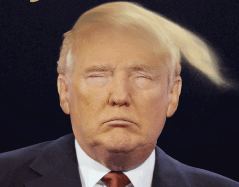 Trump Donald Image
