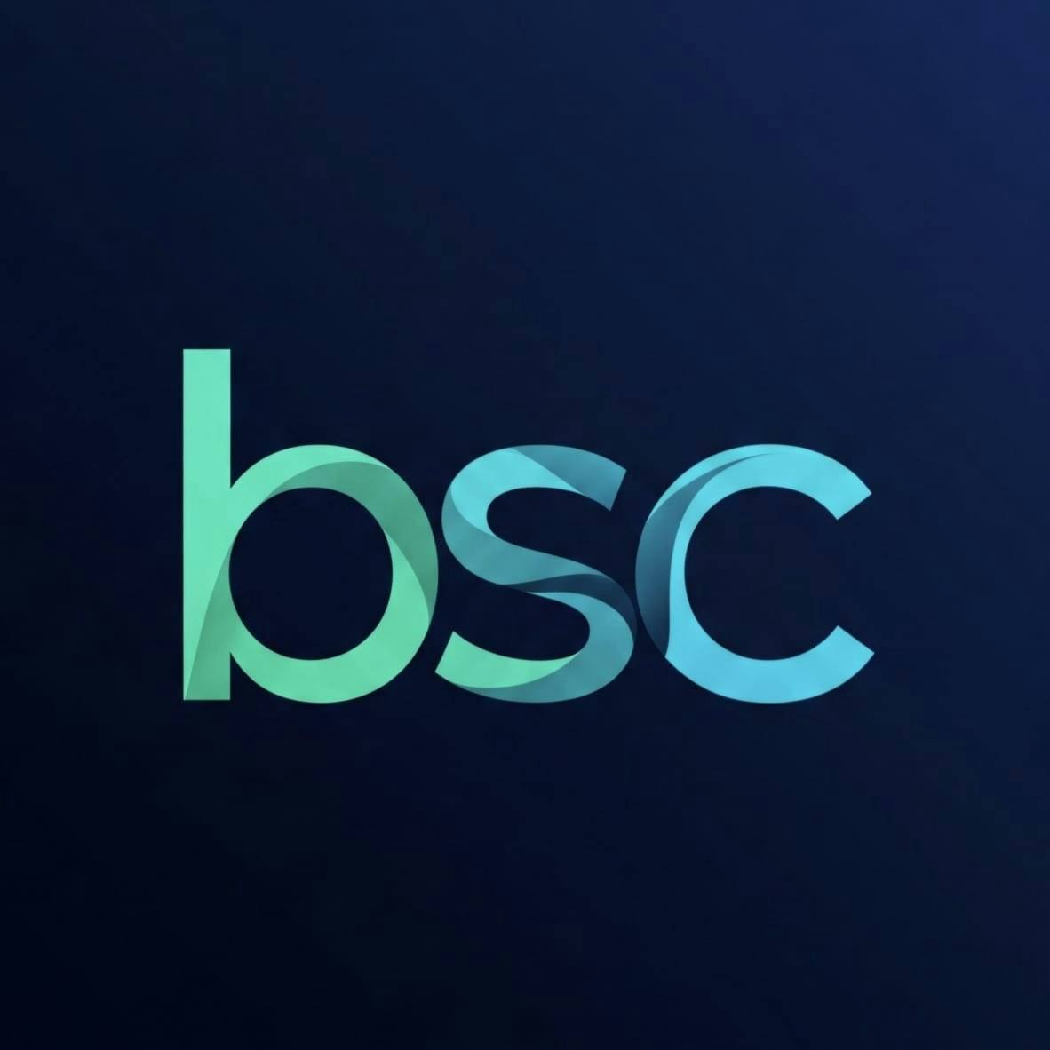 Brasil Saúde Conecta... logo