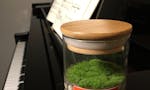 Fragrant Moss New glass with wooden lid image