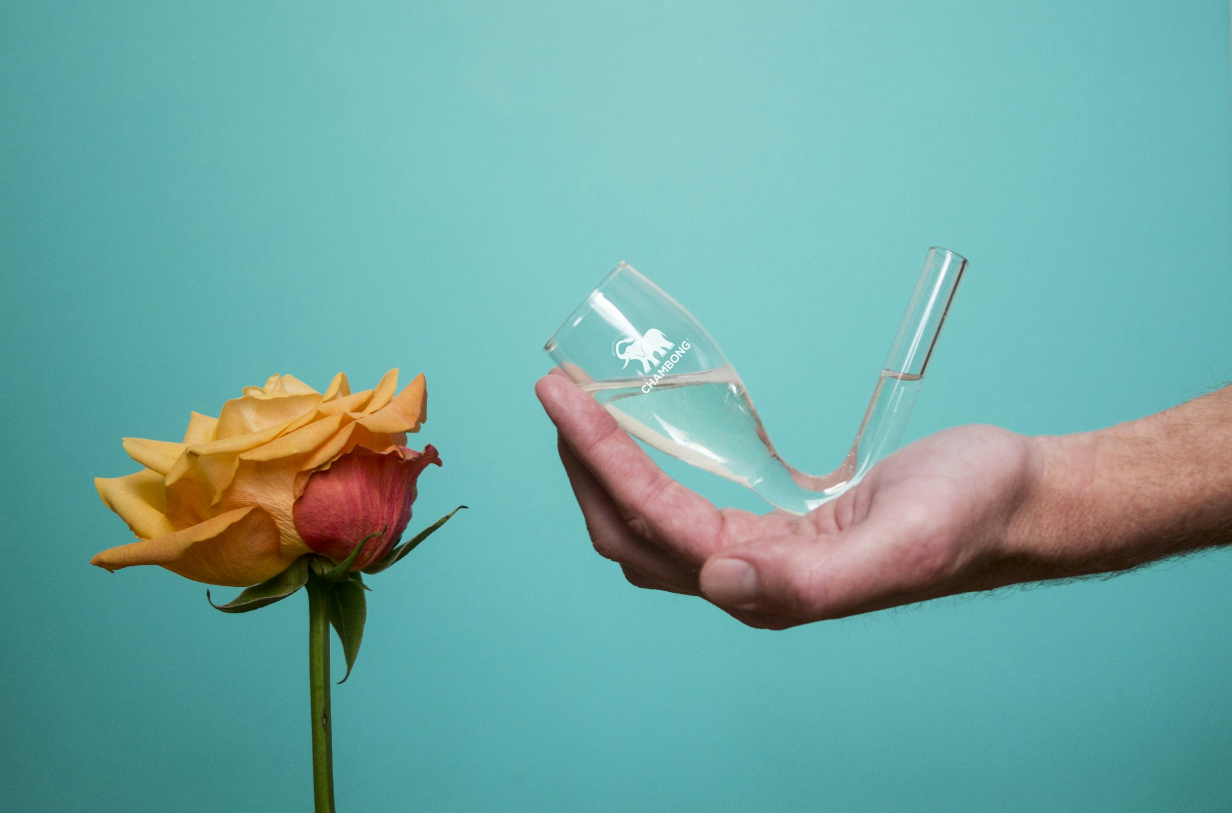 The Chambong - Champagne Beer Bong gallery image