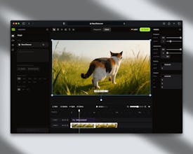 Flenly gallery image