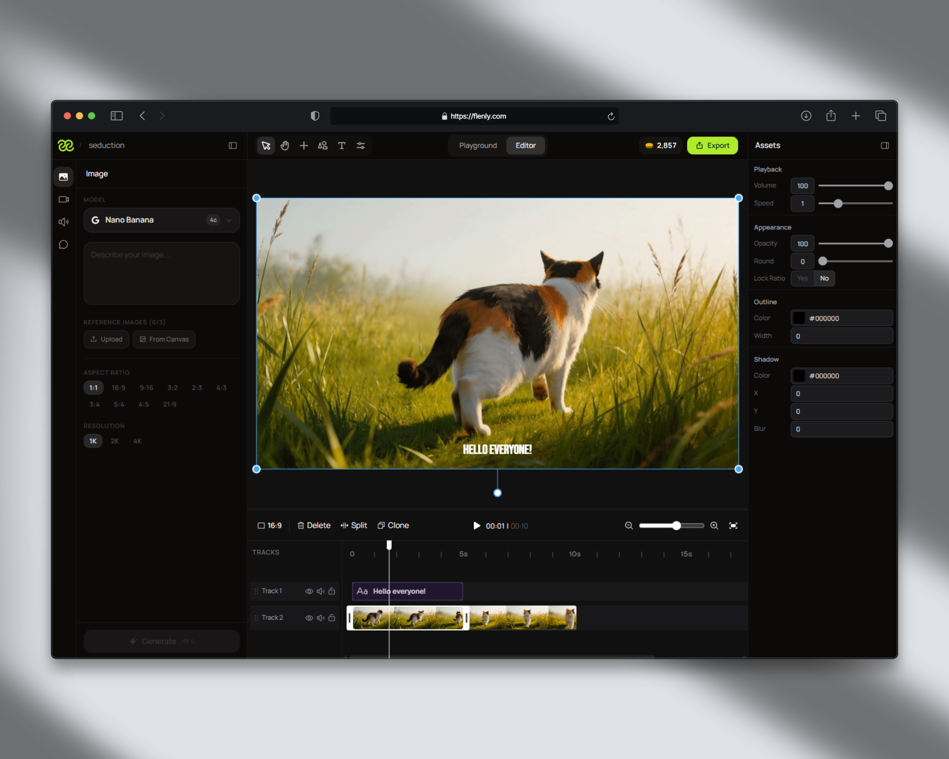 Flenly - Main product screenshot demonstrating key features and user interface