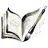 NovlAI: AI Novel Writer