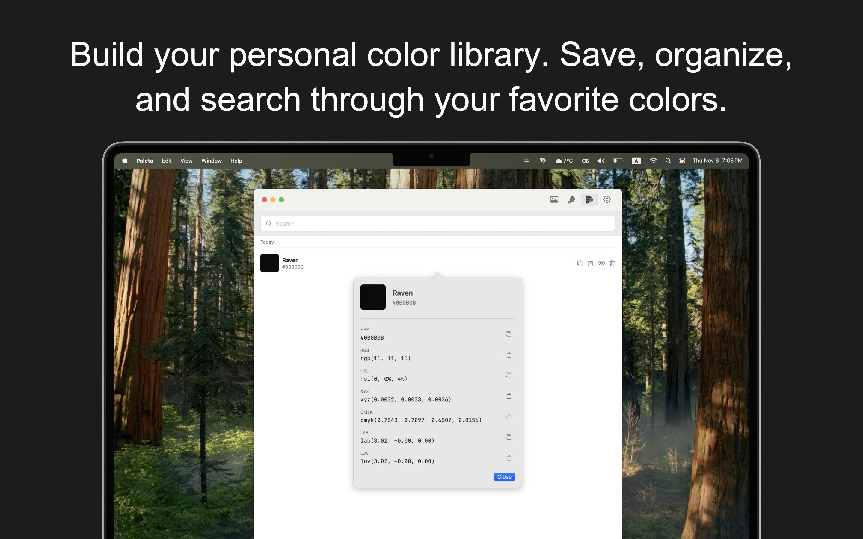 Paleta gallery image