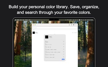 Paleta gallery image