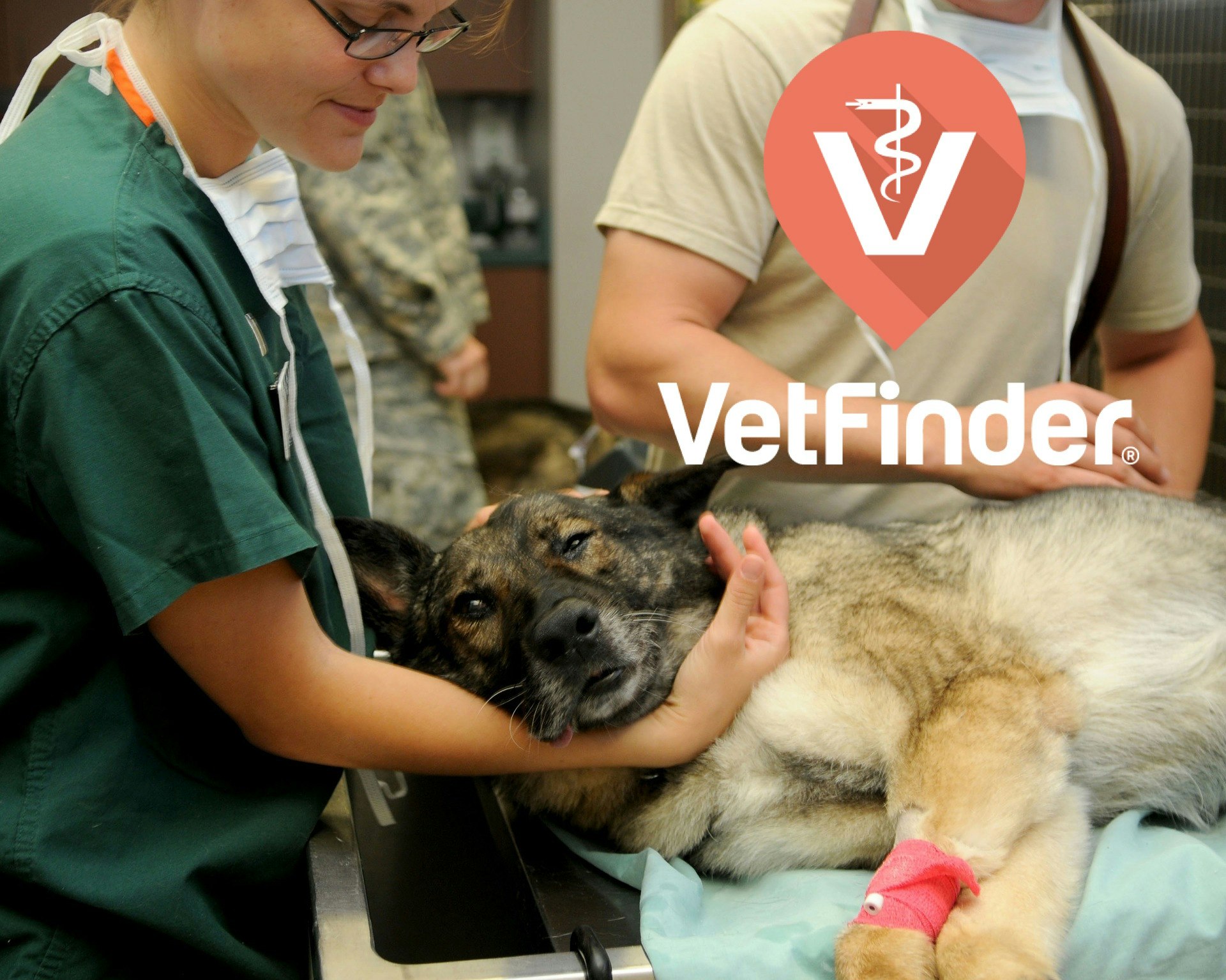 VetFinder gallery image