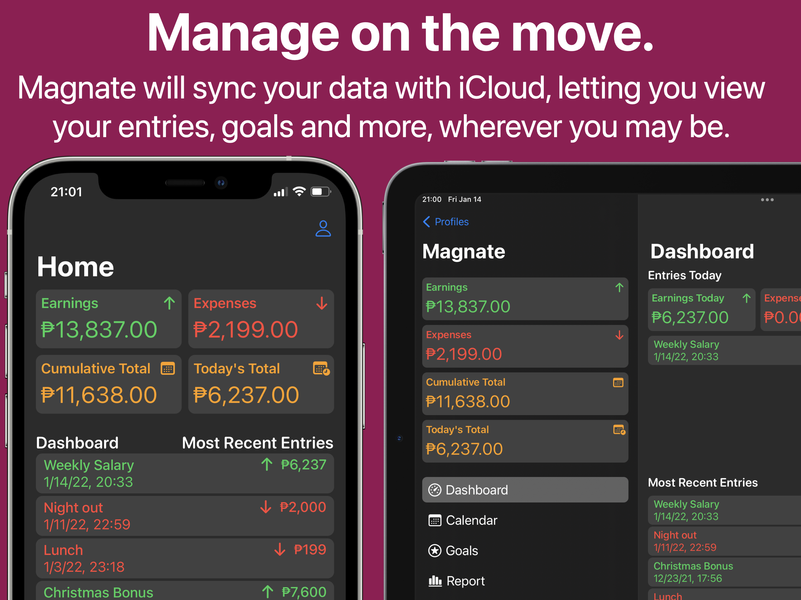 Magnate gallery image