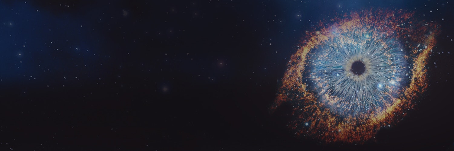 Decibel Insight gallery image