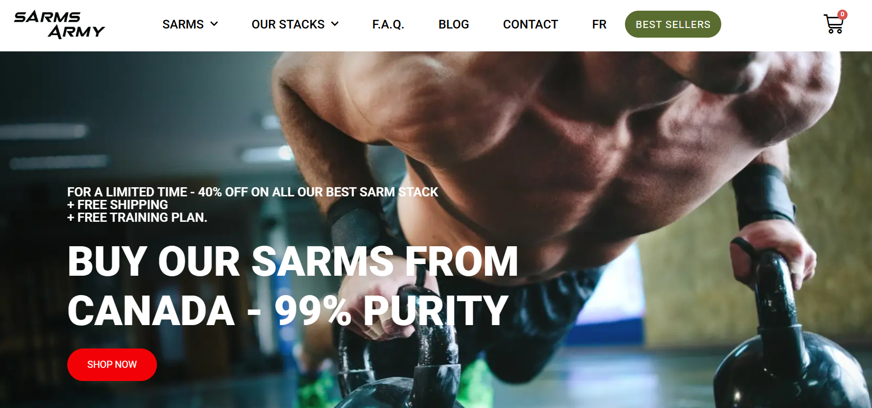 SARMs Army gallery image