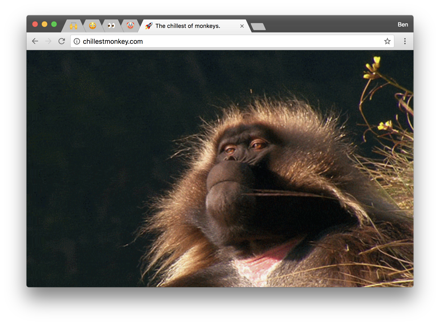 Favioli gallery image