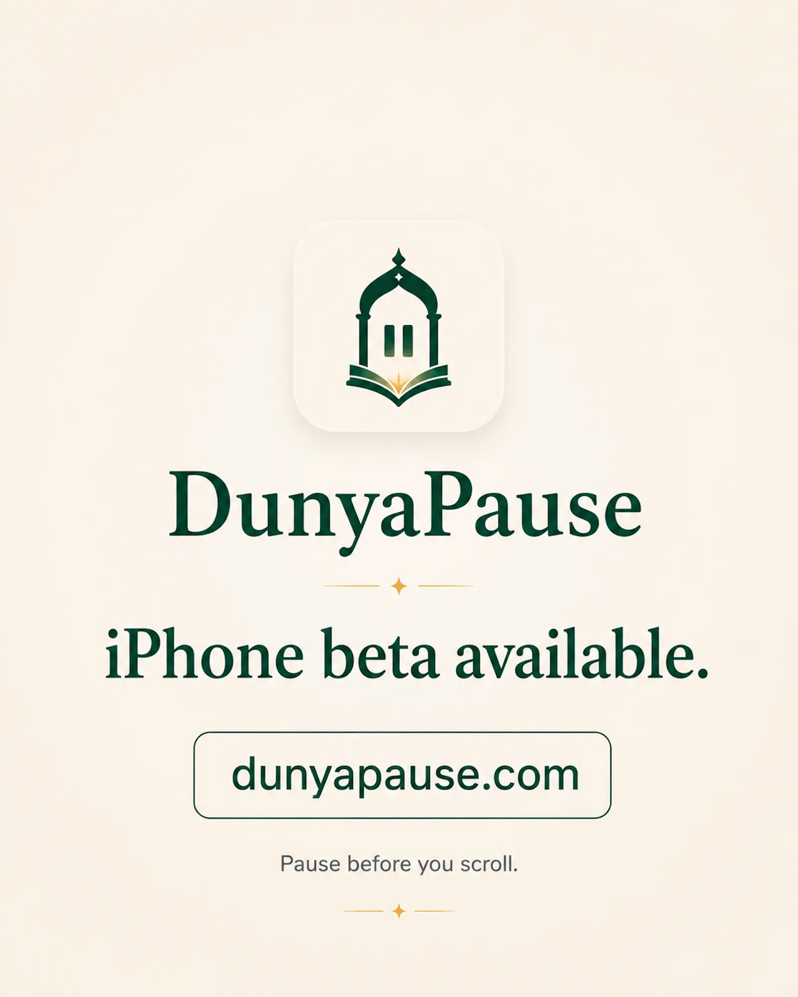Dunya Pause screenshot 9
