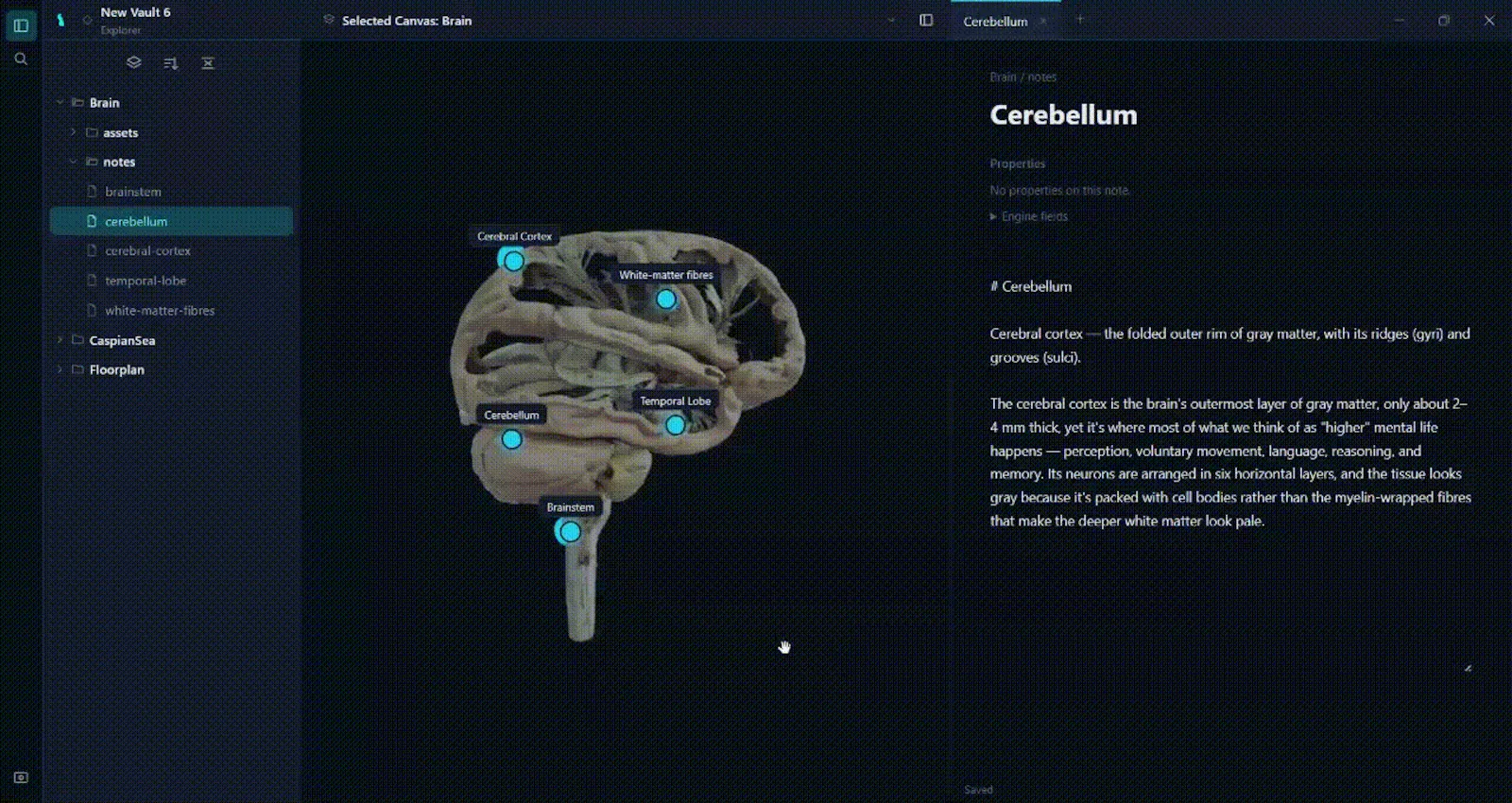 Caspian screenshot 1