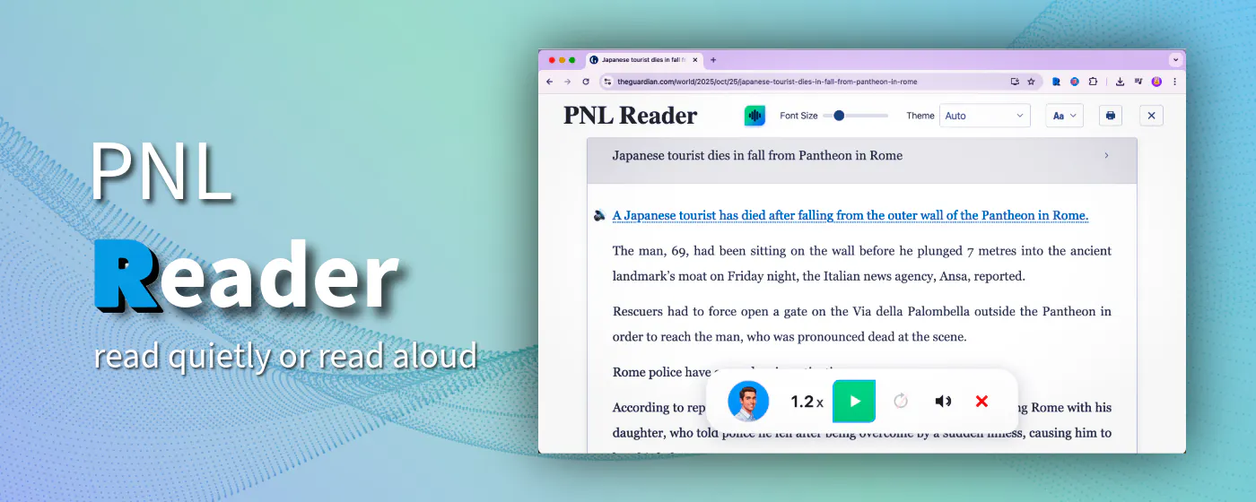 PNL Reader gallery image
