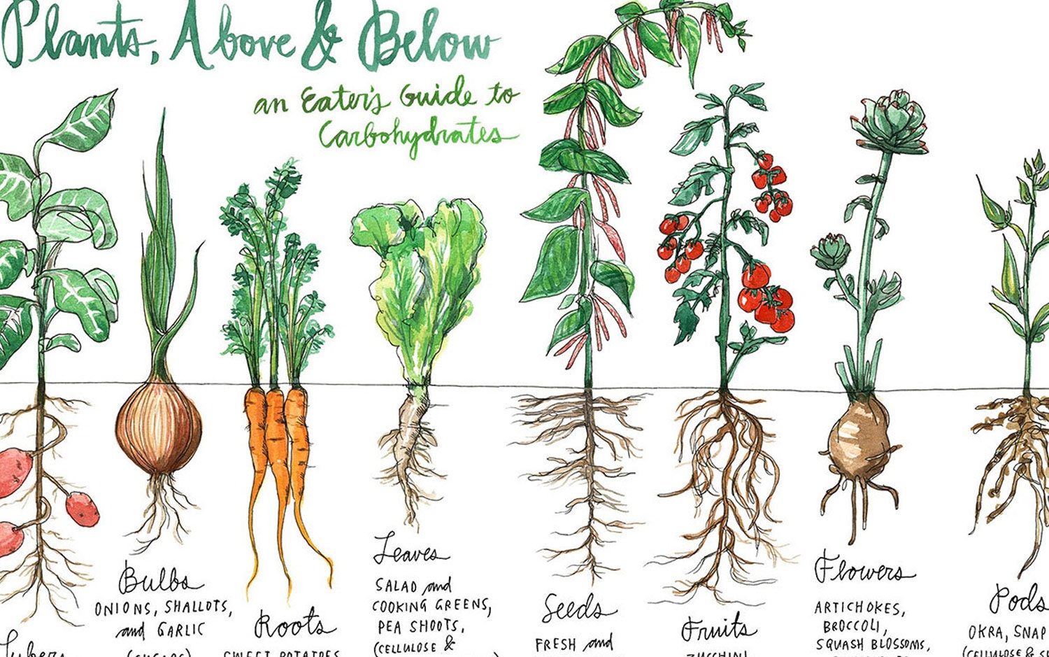 Salt, Fat, Acid, Heat gallery image