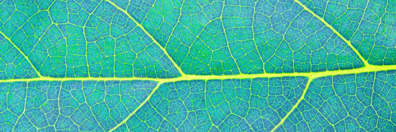 Instrumentl gallery image