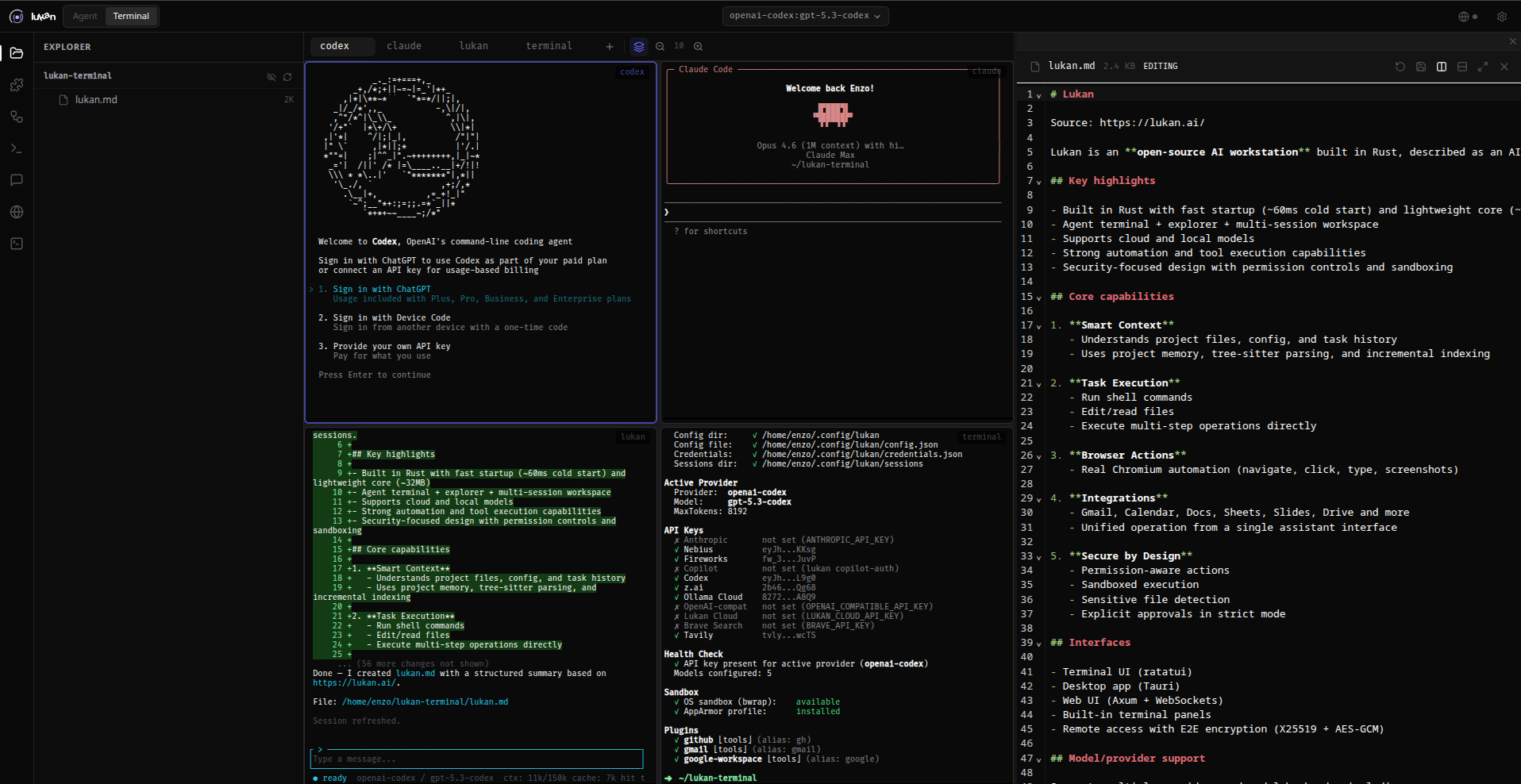 Lukan AI Agent, IDE and workstation.
