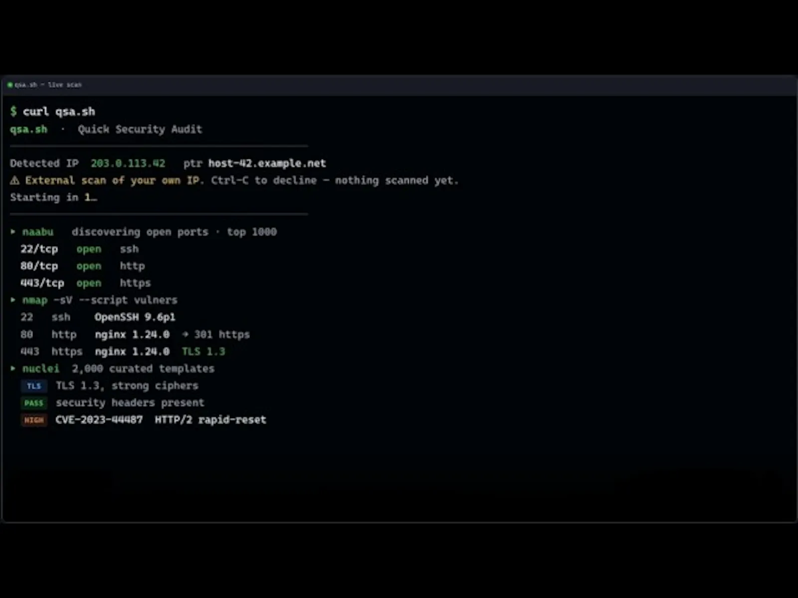 qsa.sh  screenshot 1 (video preview)