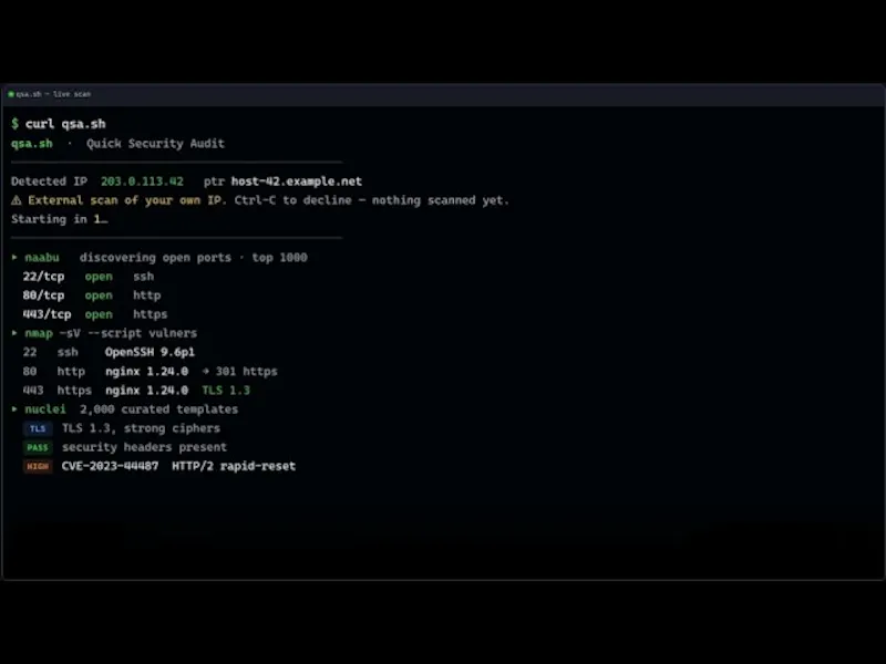 qsa.sh  screenshot 1 (video preview)