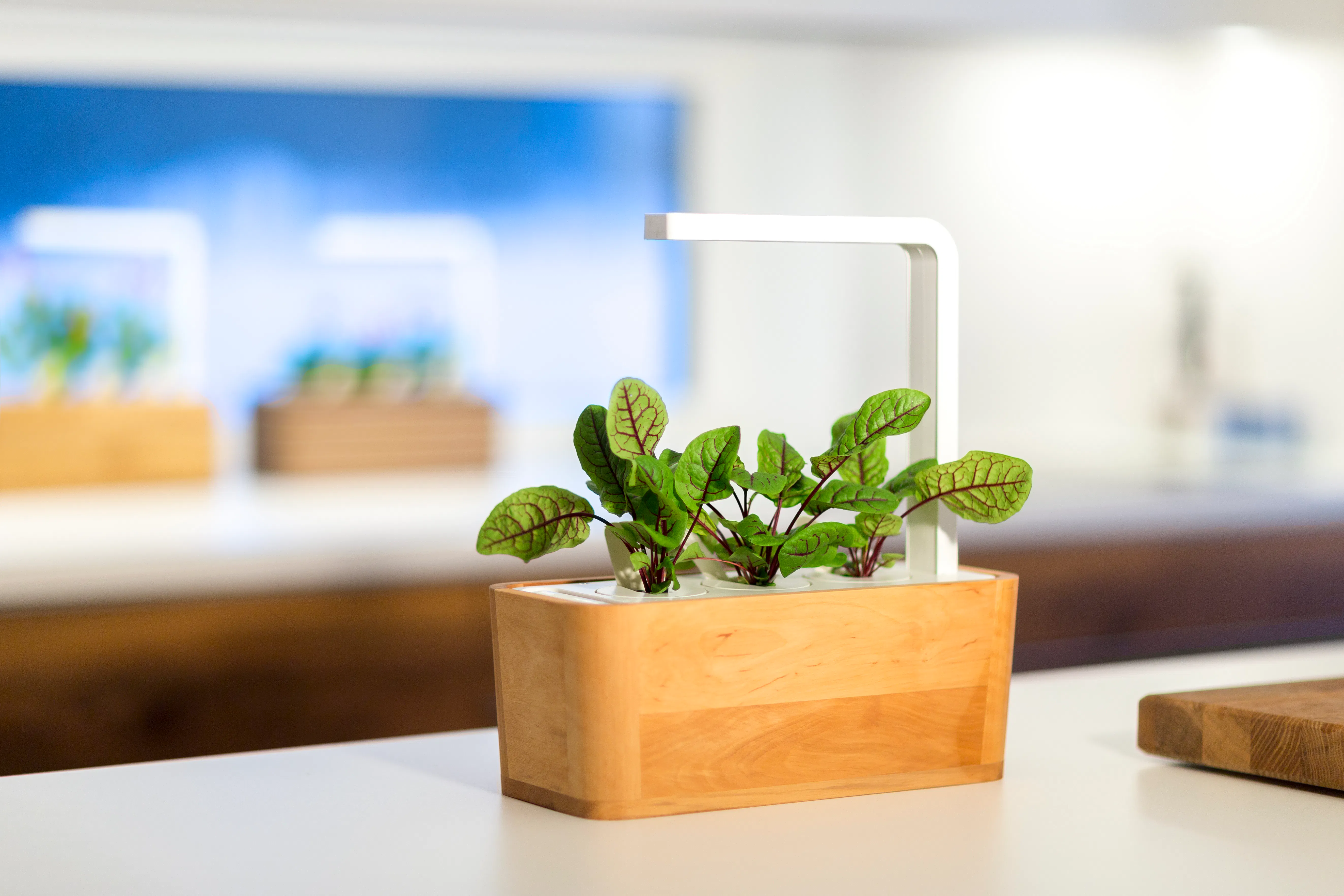 Click & Grow Smart Gardens