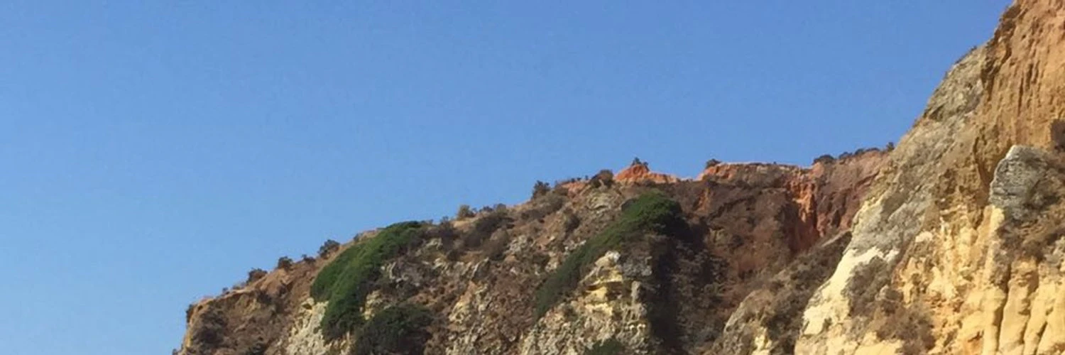 Alexandra Malis cover