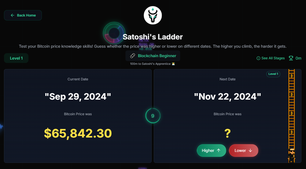 FinPlayer gallery image