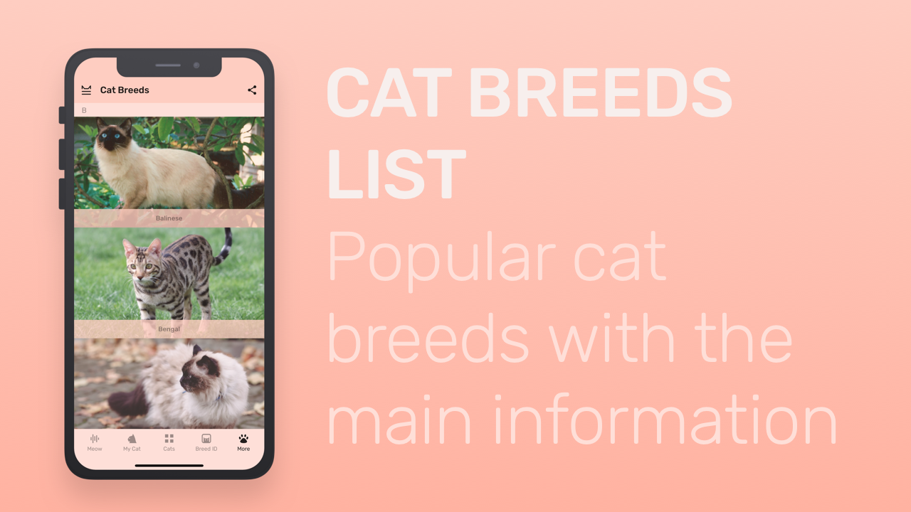 Meowly gallery image