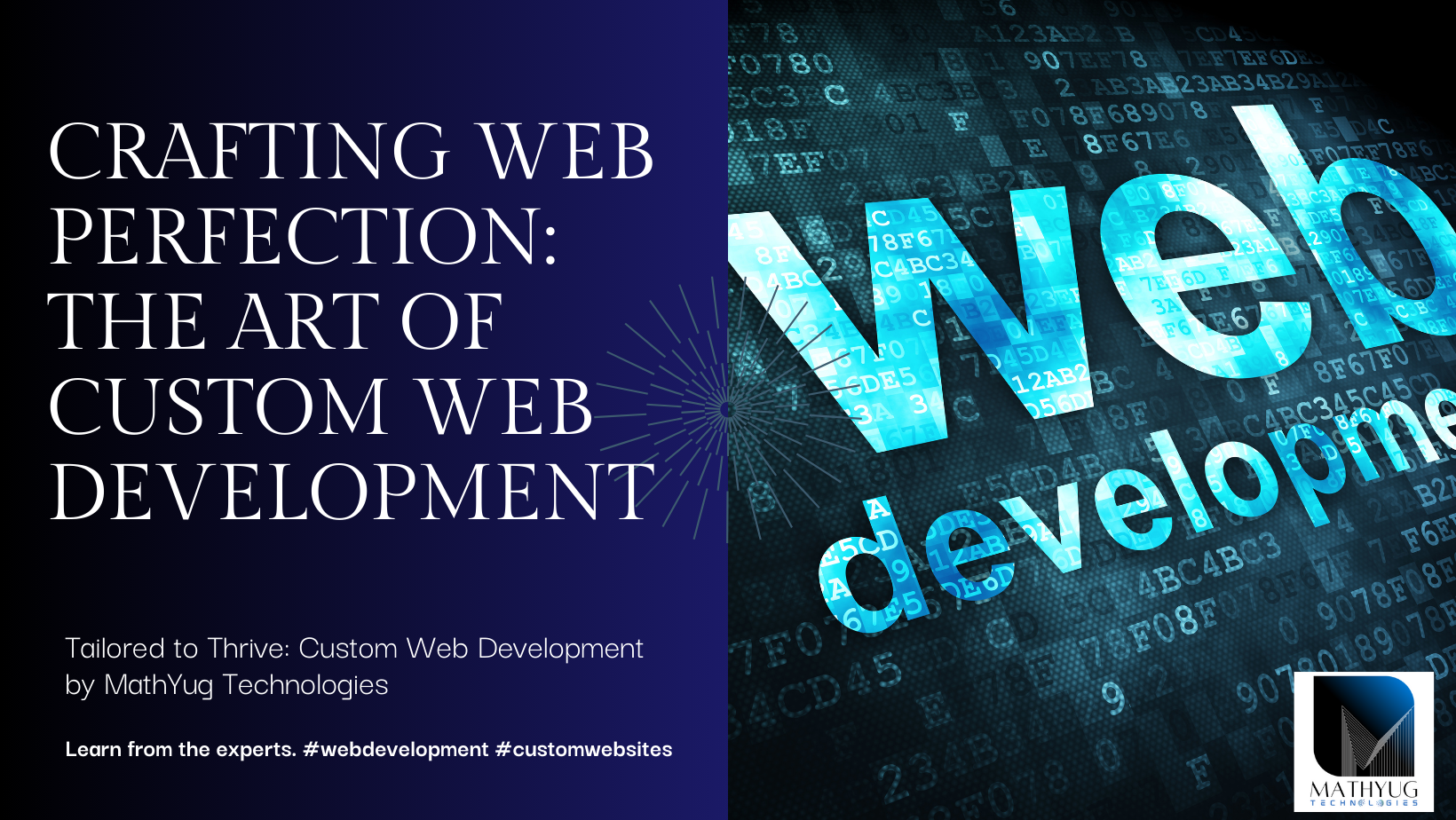 Custom Web Solutions for Educators media 6