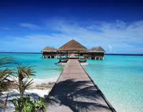 Tour package services gallery image
