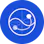 Translova