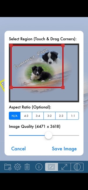PhotoTangler Collage Maker gallery image