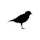 Plover