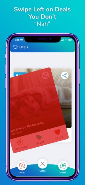 Dashible gallery image