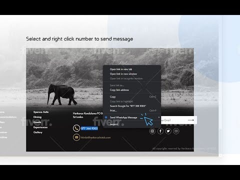 Orso - gallery image