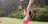 Fitstar