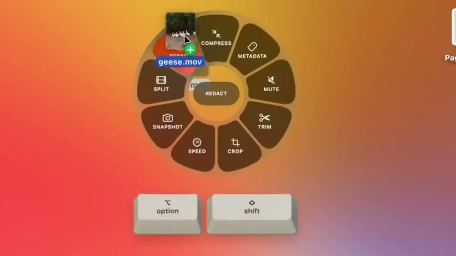 Tangerine screenshot 1 (video preview)