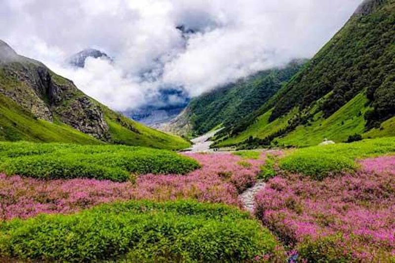 Valley Of Flowers Trek Package screenshot 2