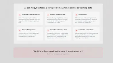 MIRA vision 畫廊圖片