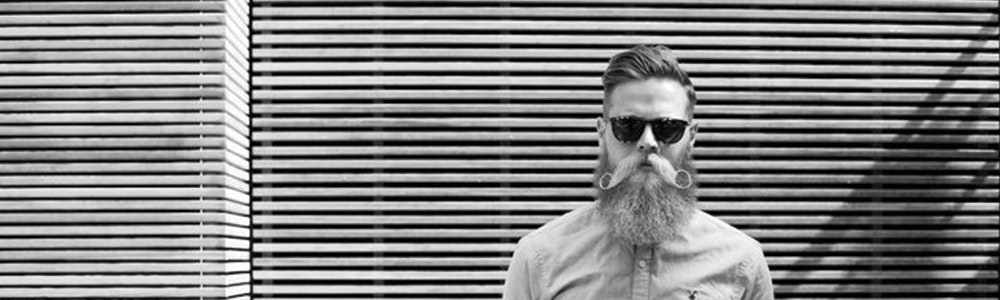 Van Schneider Mixtapes gallery image