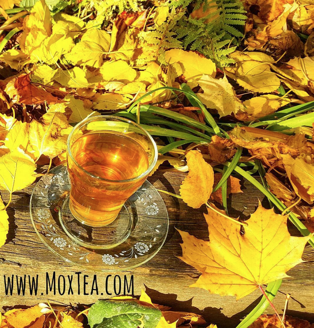 MoxTea - Ancient Viking Herbal Tea gallery image