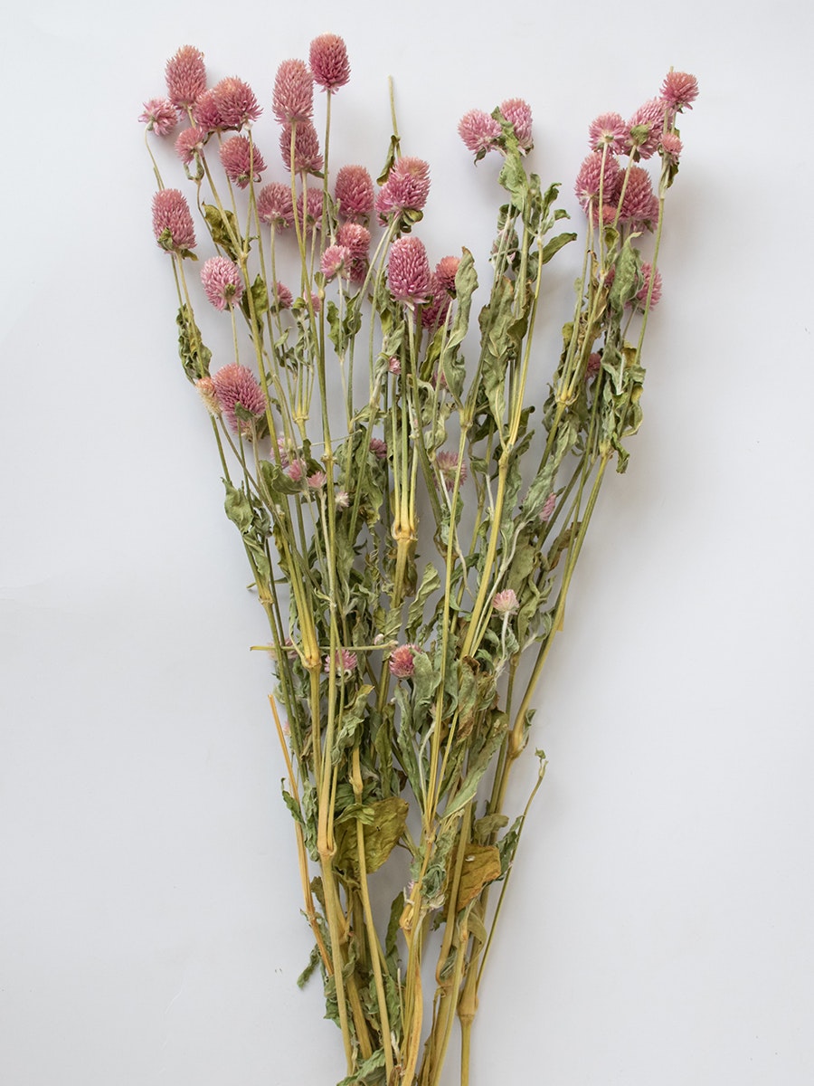 Globosa Flower - Blush roze media 4