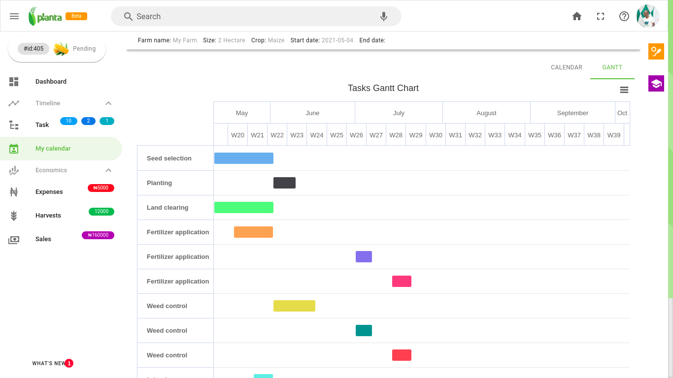 Planta gallery image